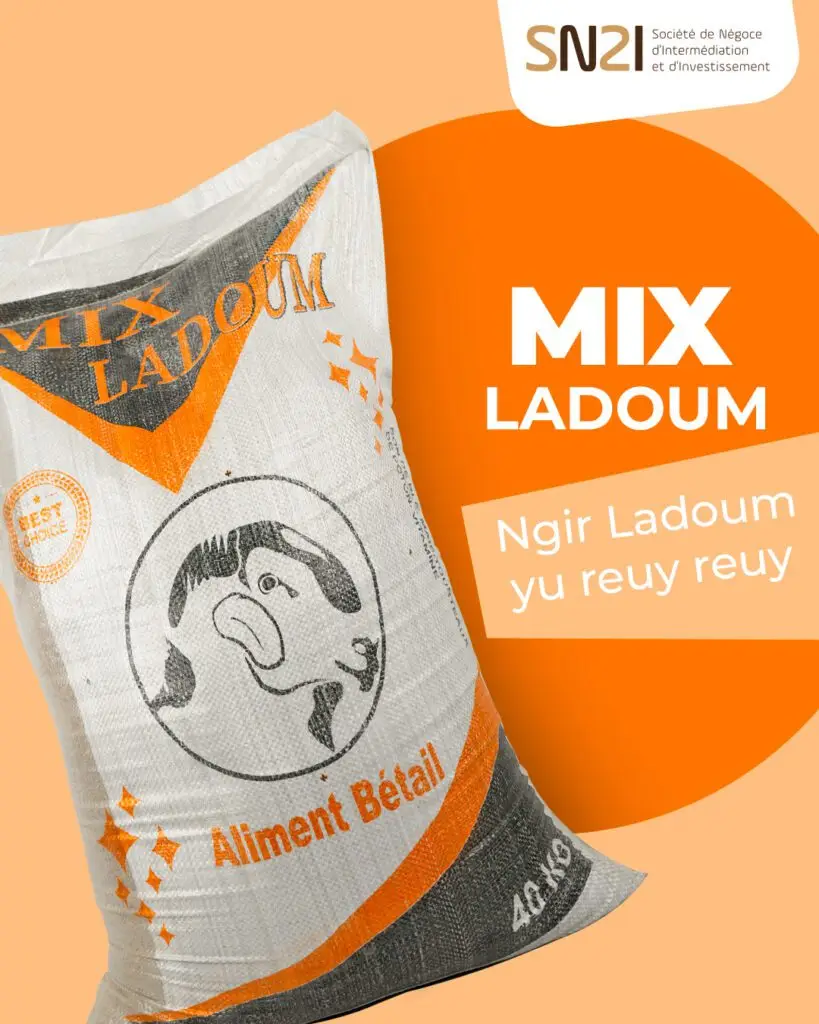 Mix Ladoum